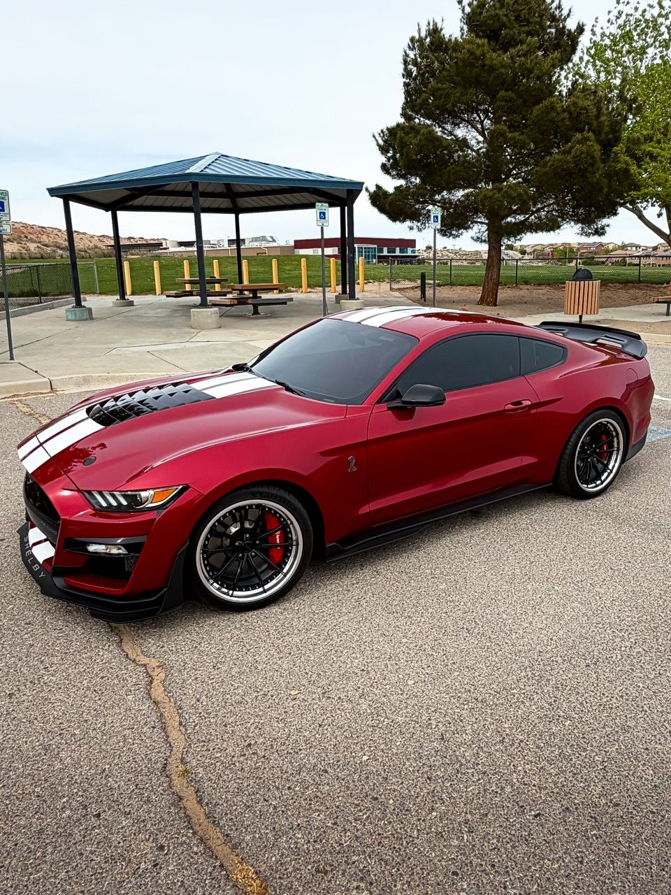 Ford Mustang GT500 with Motivo Forged CS-N custom wheels in gloss black face and gloss polished clear lip side view